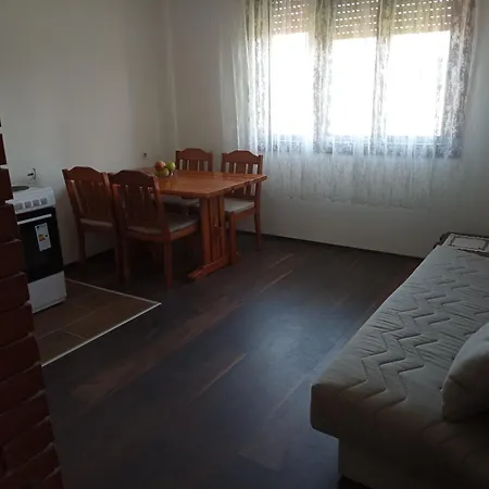 Aleksic Apartment