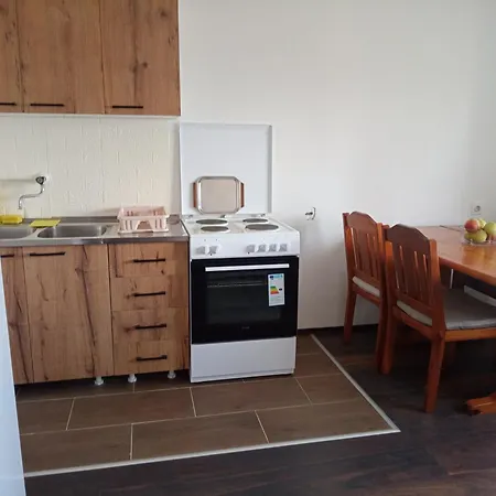 Apartment Aleksic